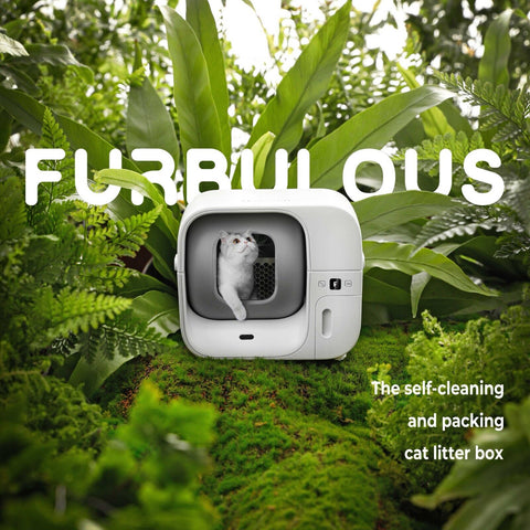 Furbulous Smart Cat Litter Box Automatic Self-Cleaning With App Remote Control