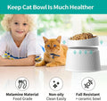 Elevated Cat Food Bowl - Summer Pet