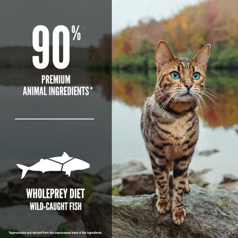 ORIJEN Six Fish Biologically Appropriate Dry Cat Food 5.45kg